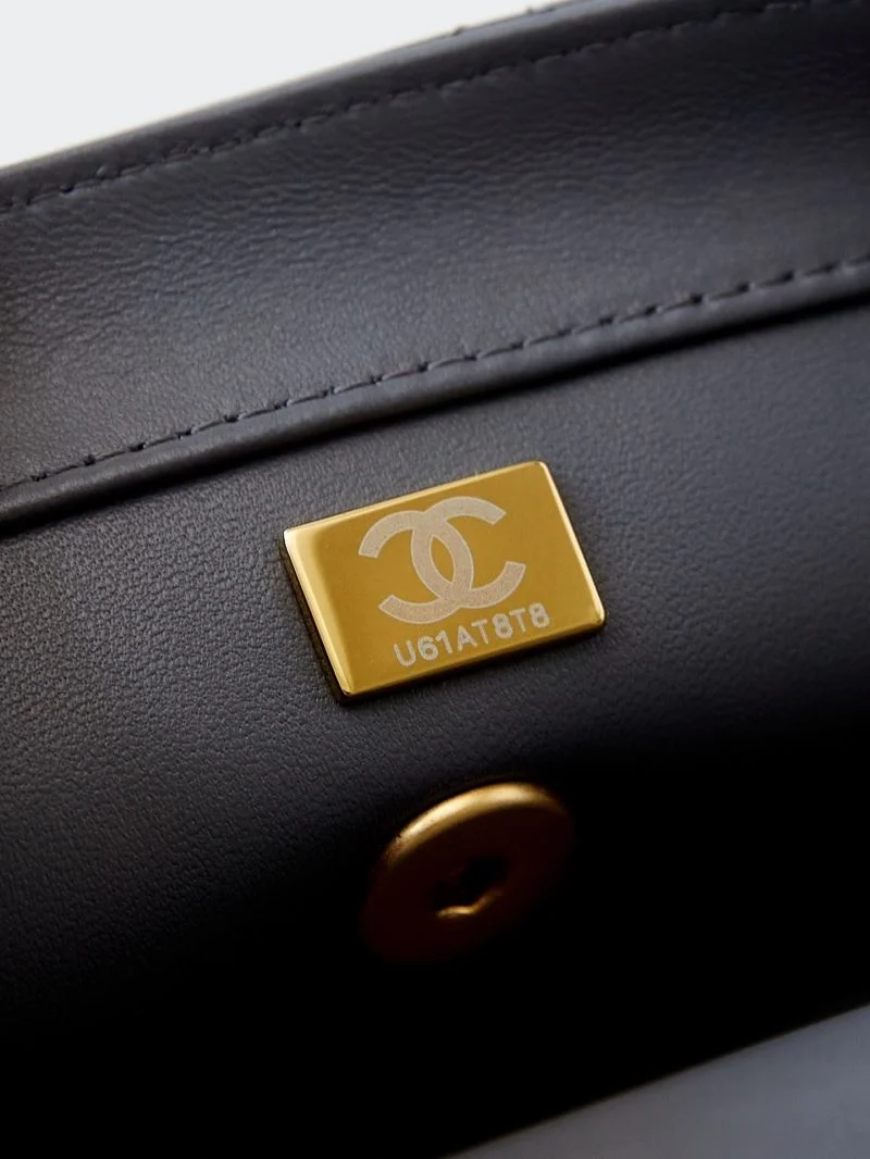 Chanel Stachel Bags Classic 54523