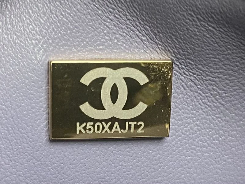 WrinkleFree Chanel Stachel Bags 54491