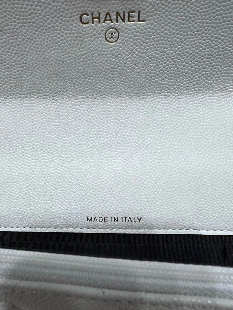 WaterResistant Chanel Stachel Bags 54483
