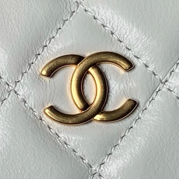 MultiPurpose Chanel Stachel Bags 54481