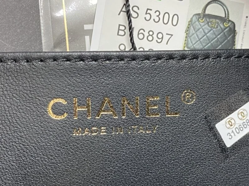 Chanel Top Handle Bags GoAnywhere 52498