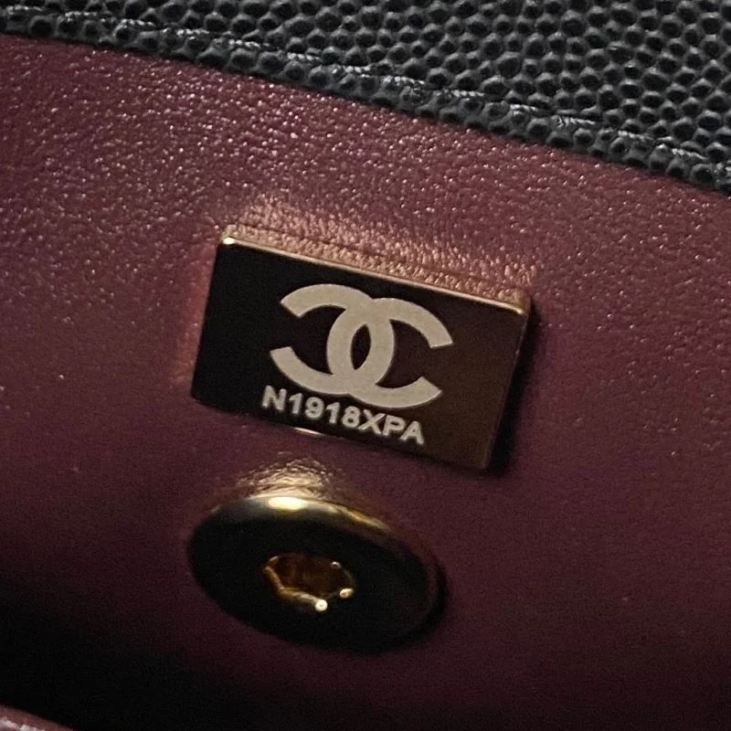 Timeless Chanel Top Handle Bags 52495