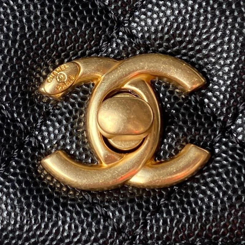 DailyWear Chanel Top Handle Bags 52501