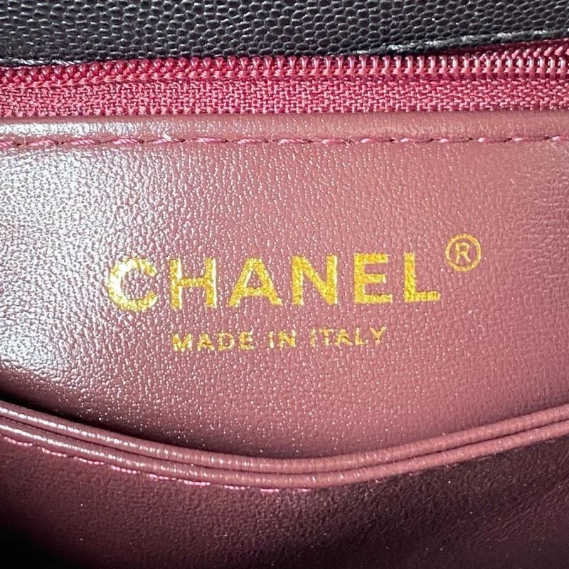 DailyWear Chanel Top Handle Bags 52501