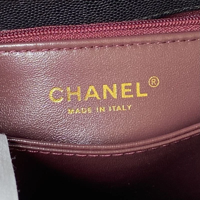 WeatherProof Chanel Top Handle Bags 52499