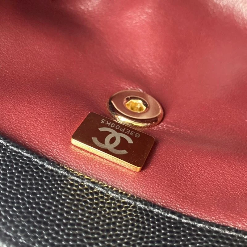 Seasonal Chanel Top Handle Bags 52511
