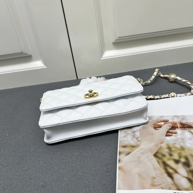 Breathable Chanel WOC Bags 84361