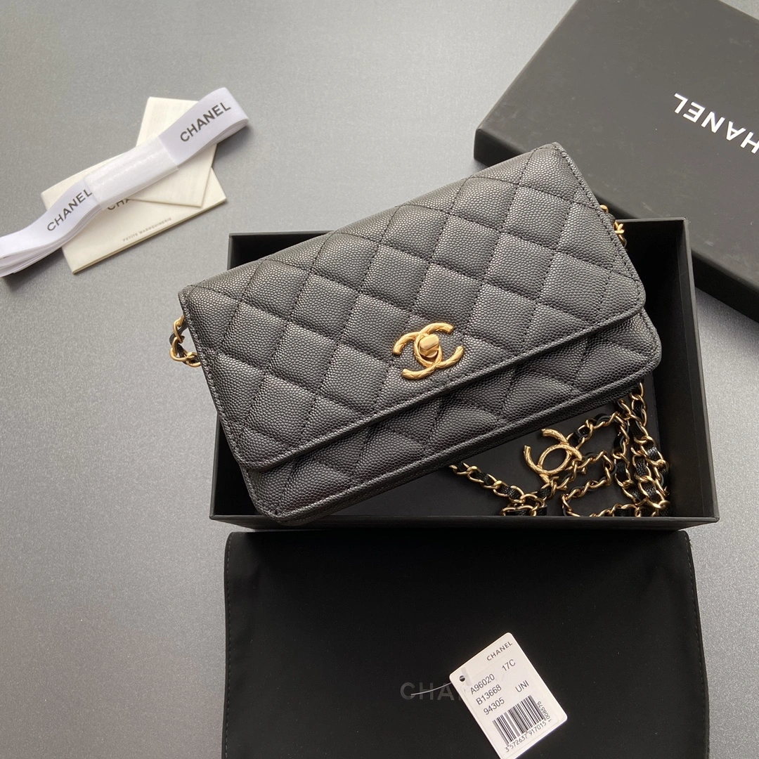 Seasonal Chanel WOC Bags 56434