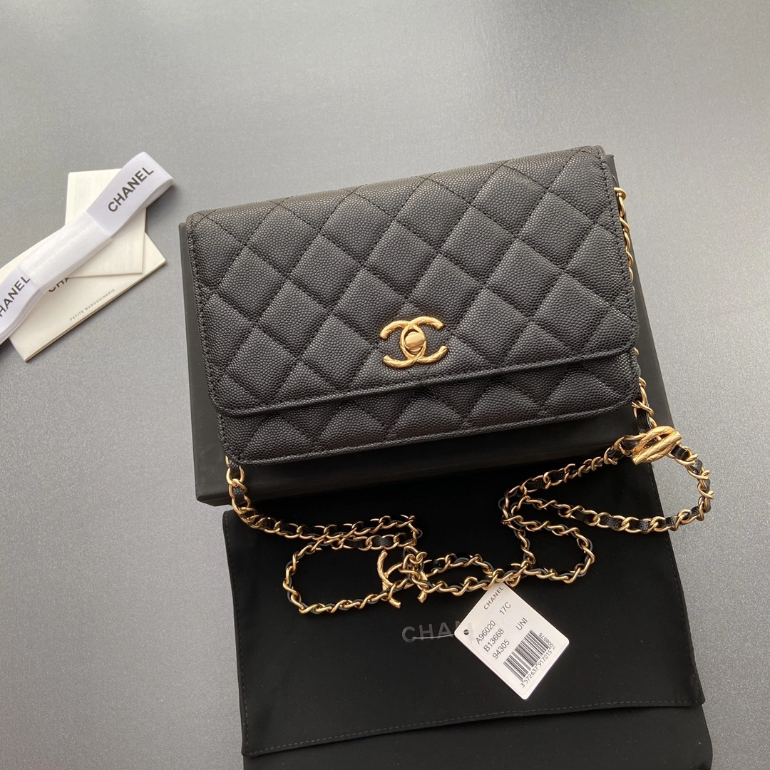 Seasonal Chanel WOC Bags 56434