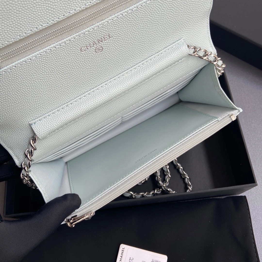 Chanel WOC Bags Colorful 56375