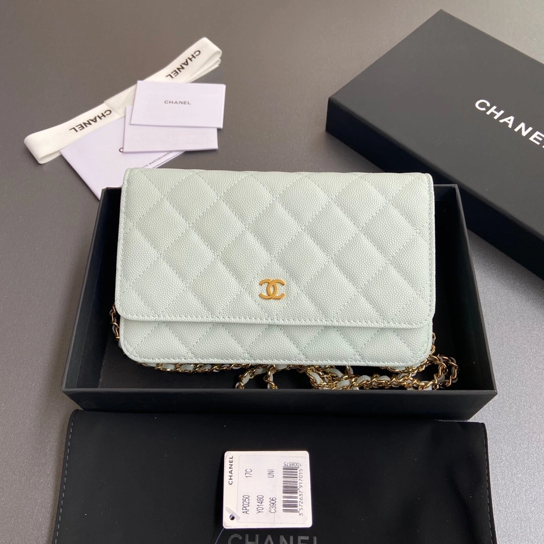 Durable Chanel WOC Bags 56378