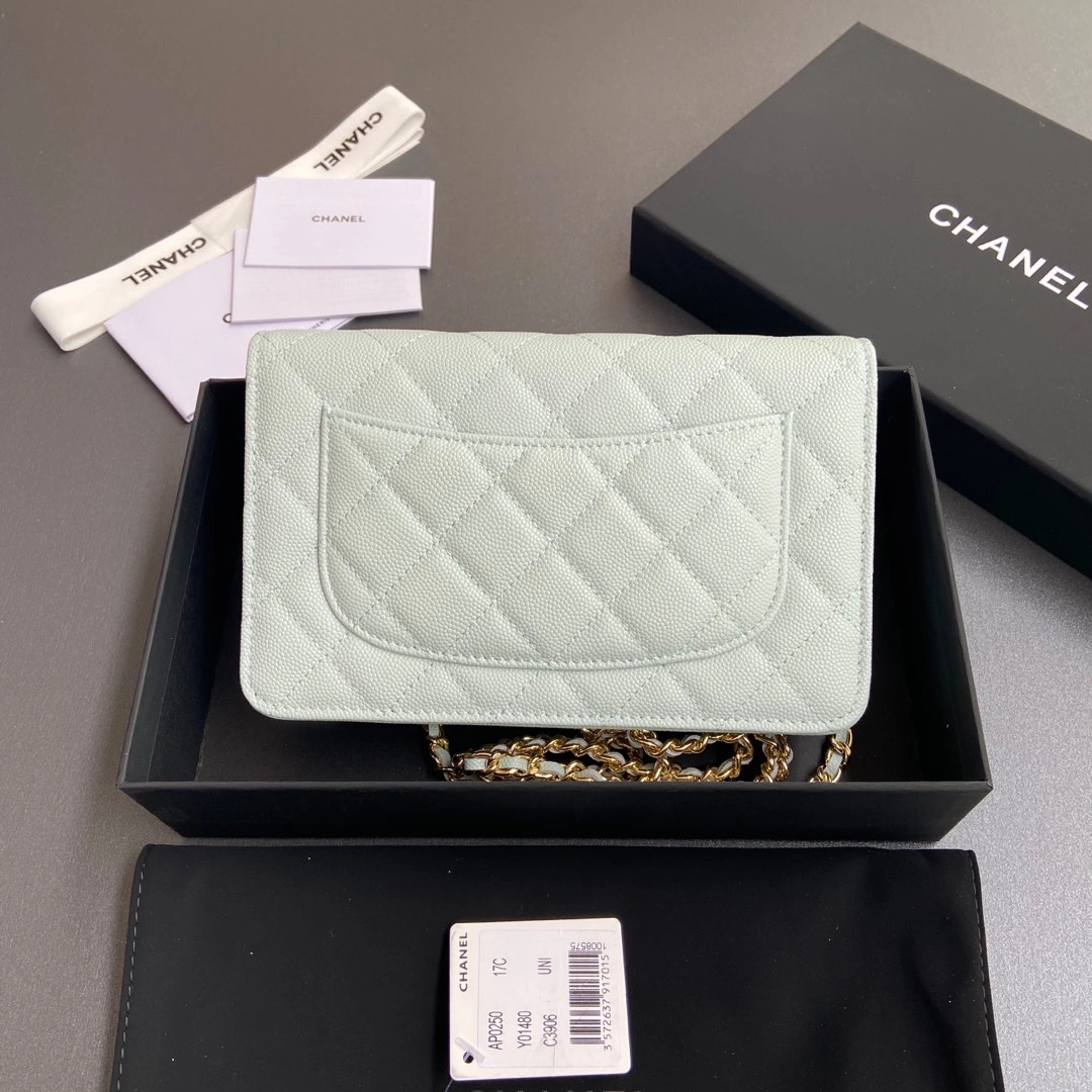 Durable Chanel WOC Bags 56378