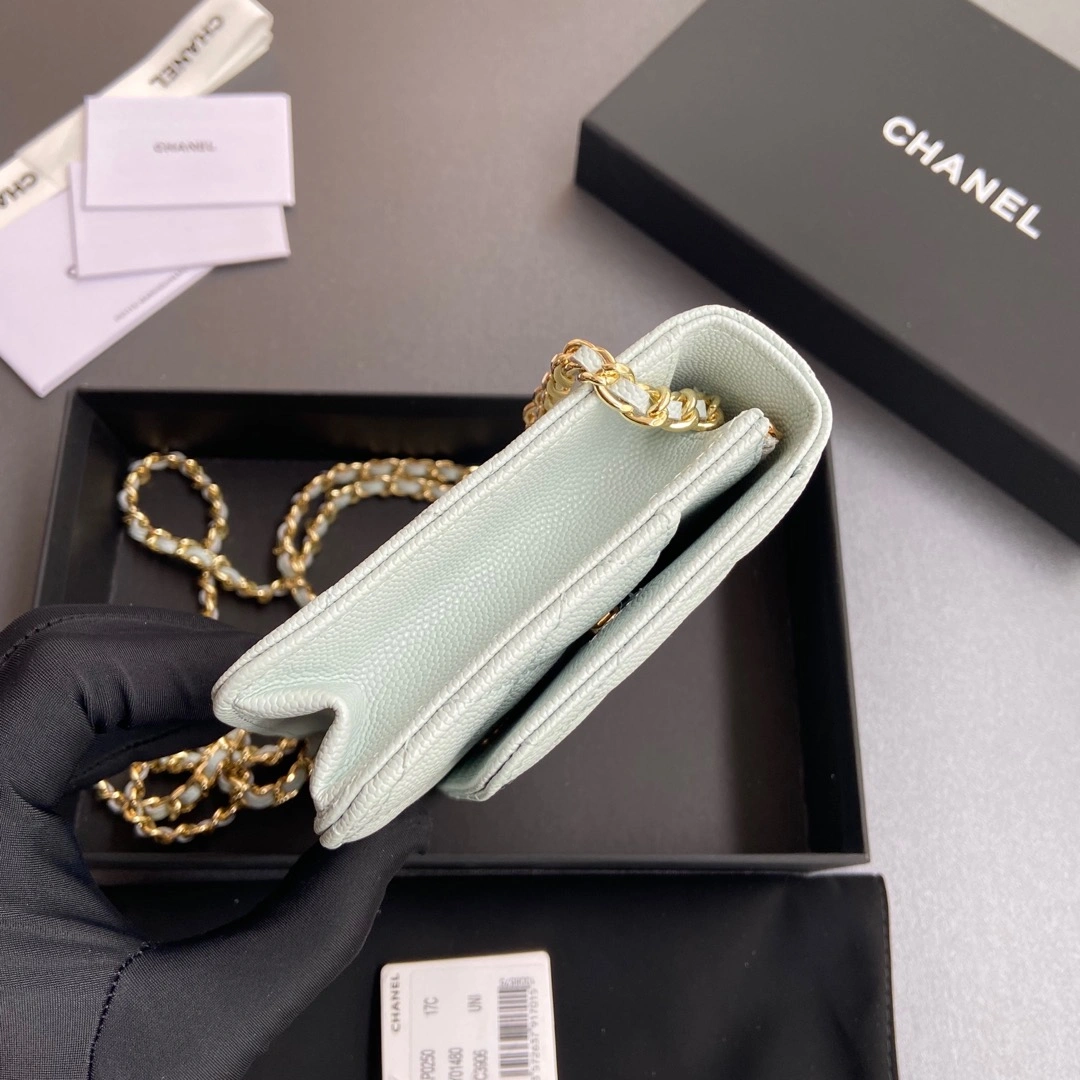 Durable Chanel WOC Bags 56378