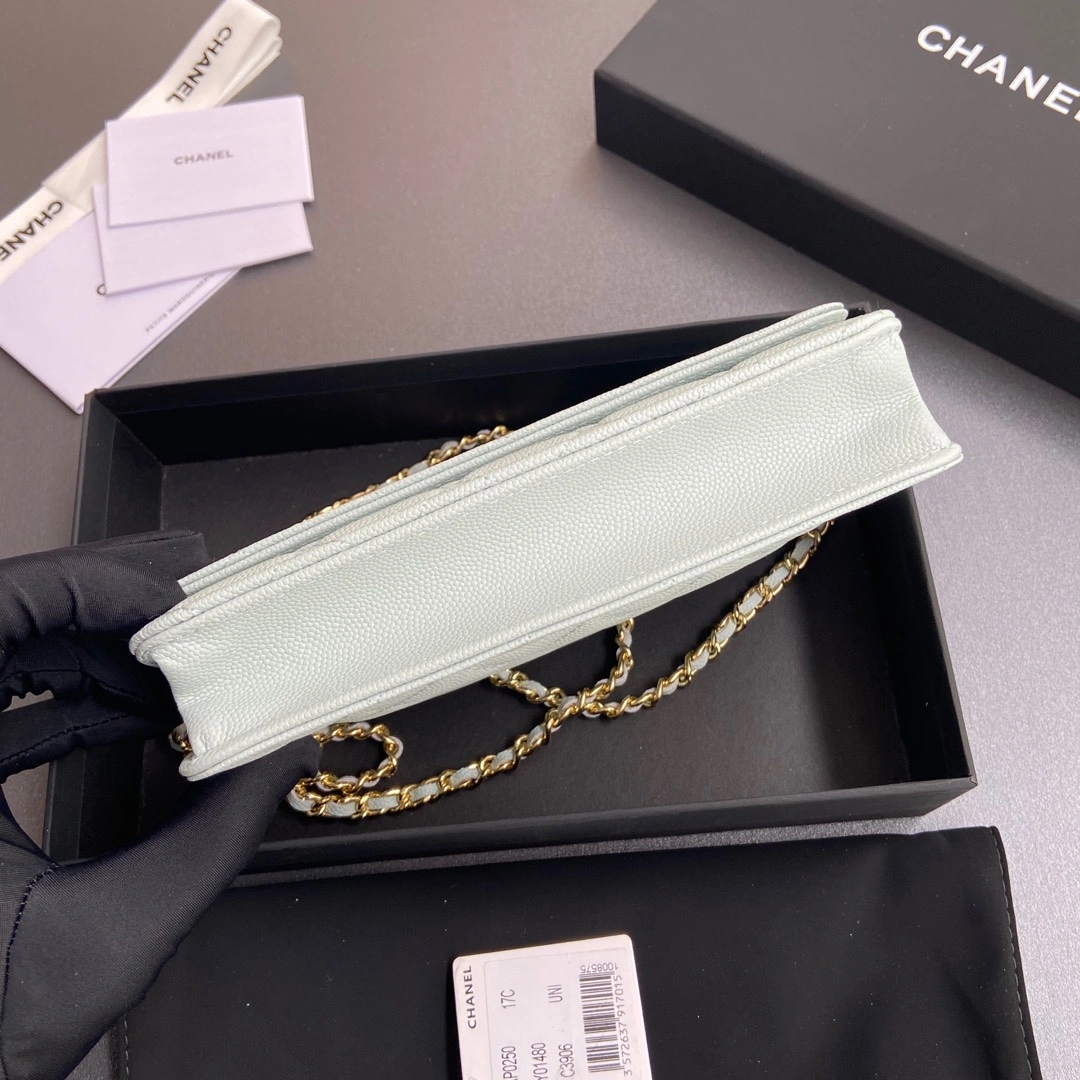 Durable Chanel WOC Bags 56378