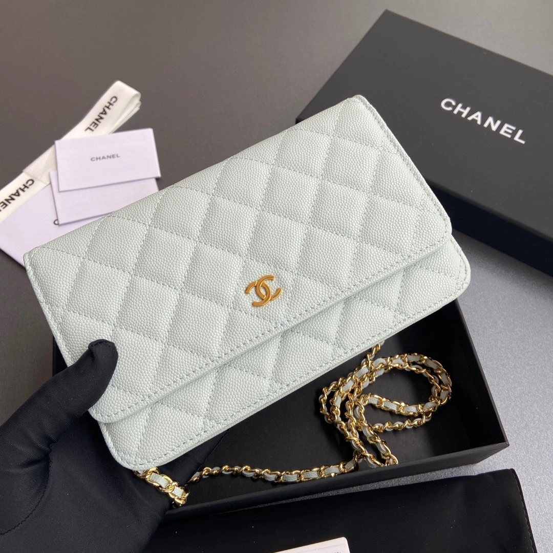 Durable Chanel WOC Bags 56378