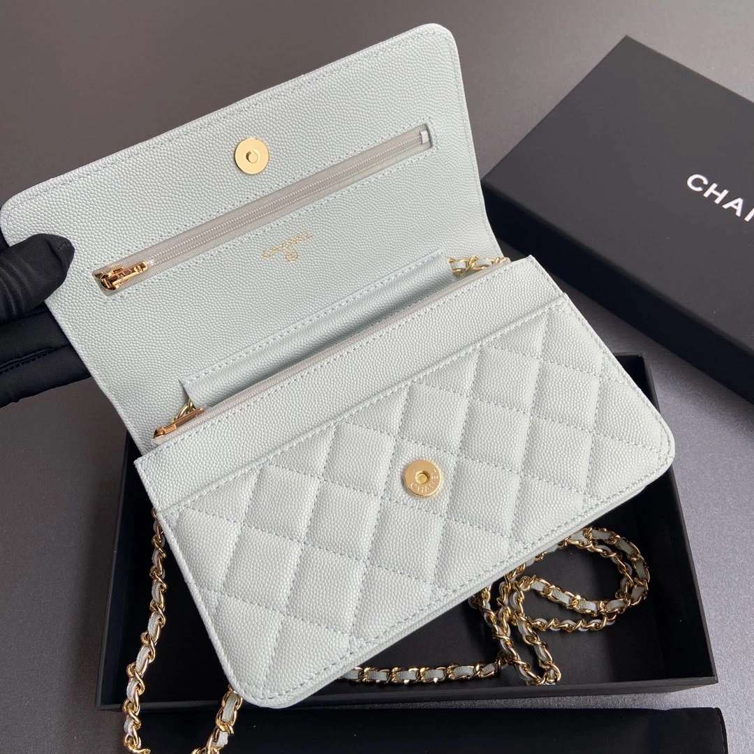 Durable Chanel WOC Bags 56378