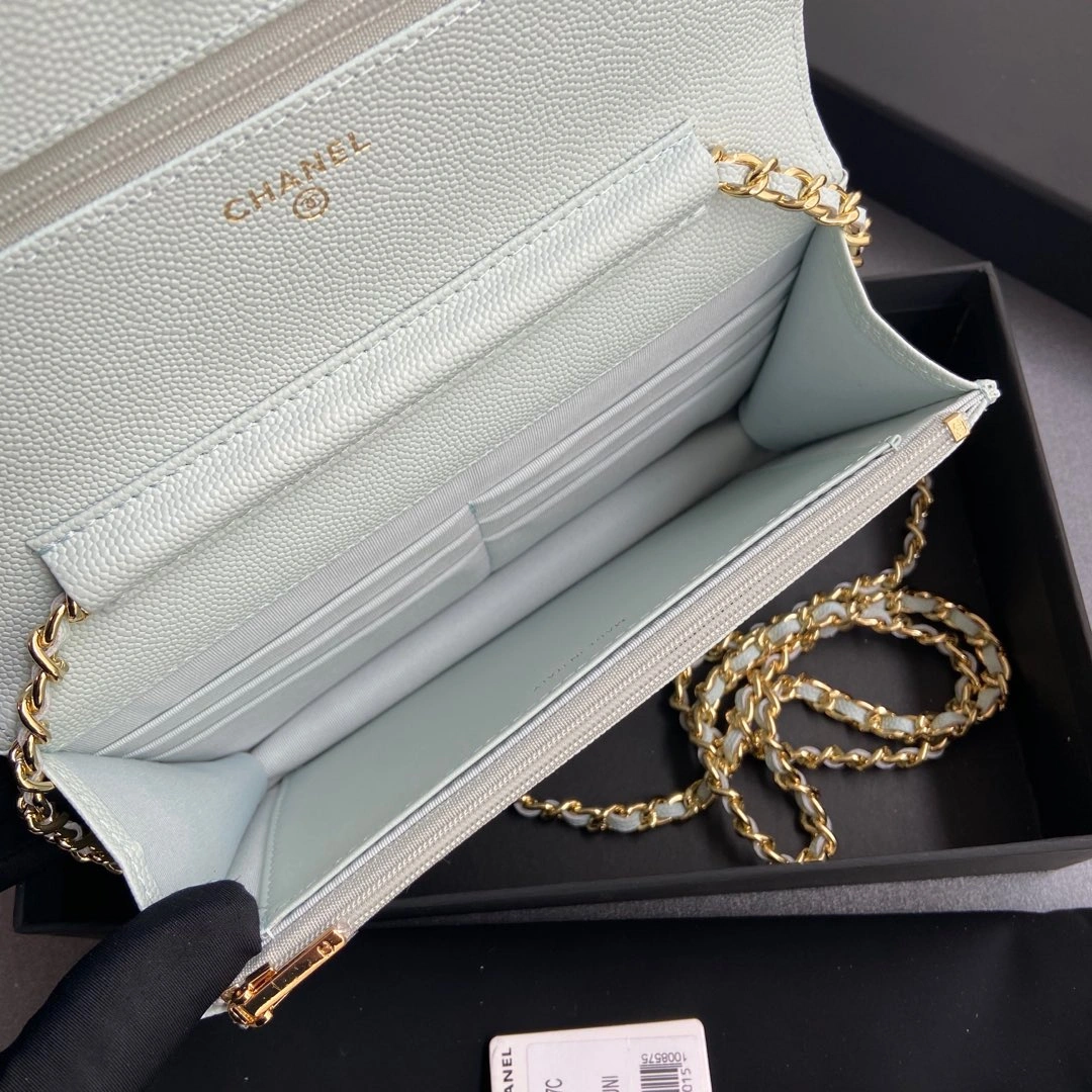 Durable Chanel WOC Bags 56378