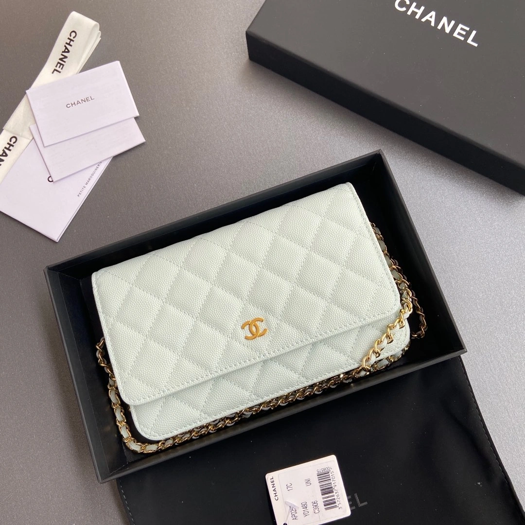 Durable Chanel WOC Bags 56378