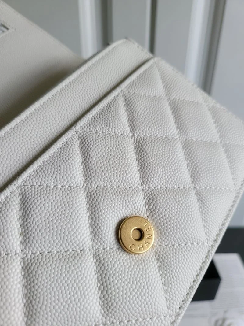 Chanel WOC Bags Lightweight 54196