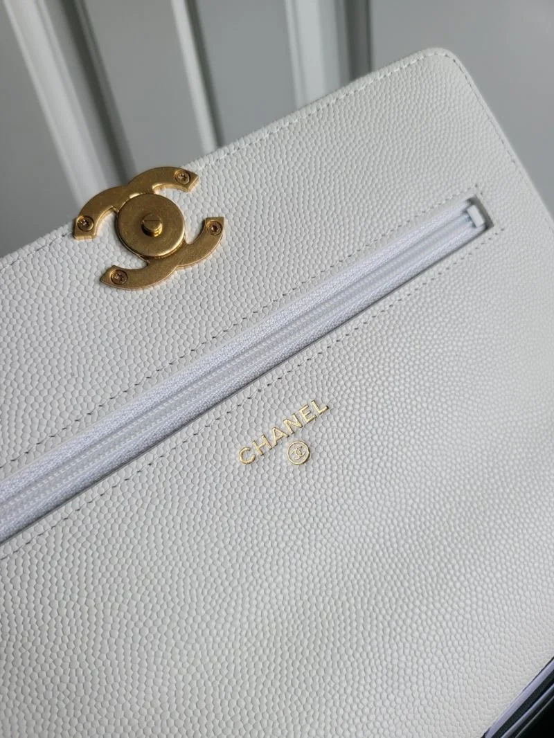 Chanel WOC Bags Lightweight 54196