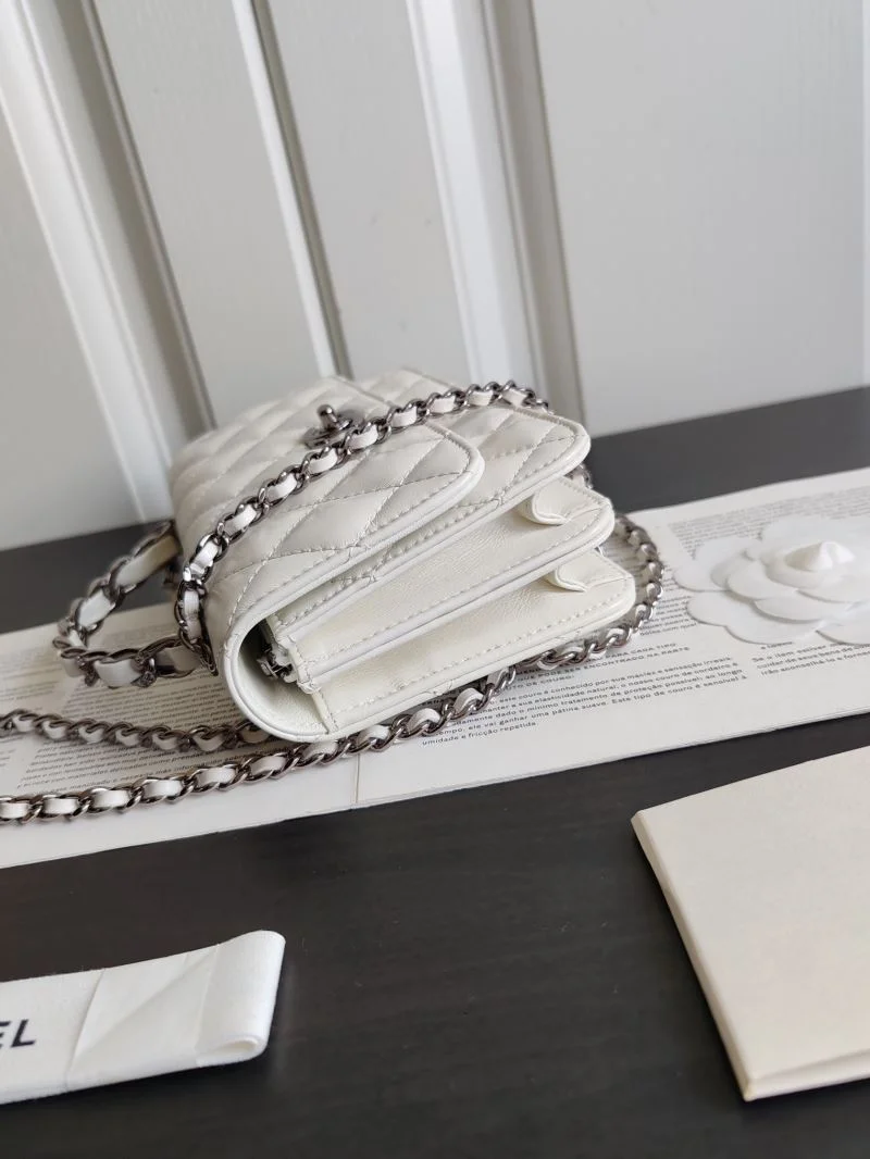 WrinkleFree Chanel WOC Bags 54197