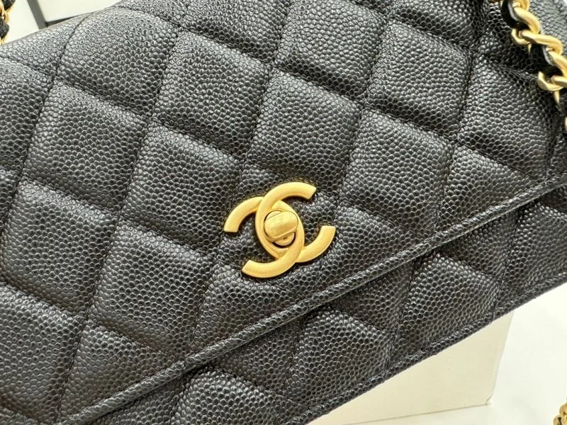 Chanel WOC Bags Neat 54179