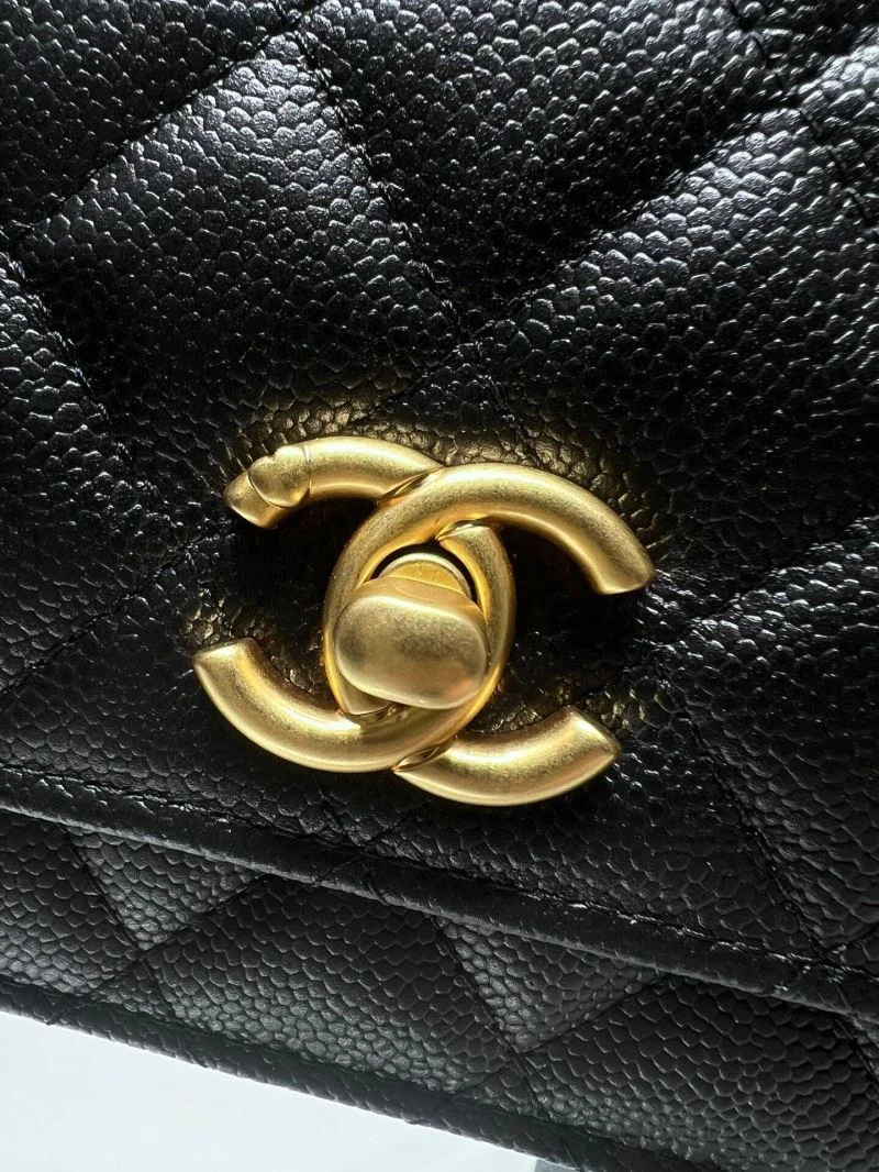Snug Chanel WOC Bags 54170