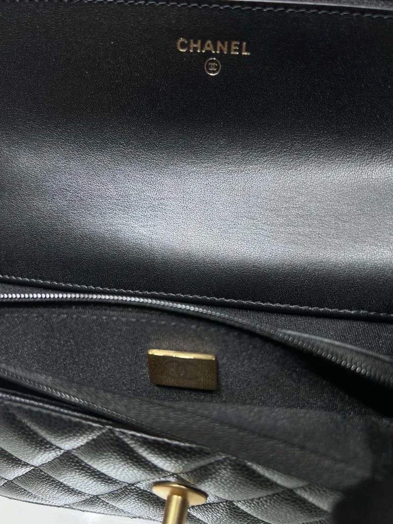 Snug Chanel WOC Bags 54170