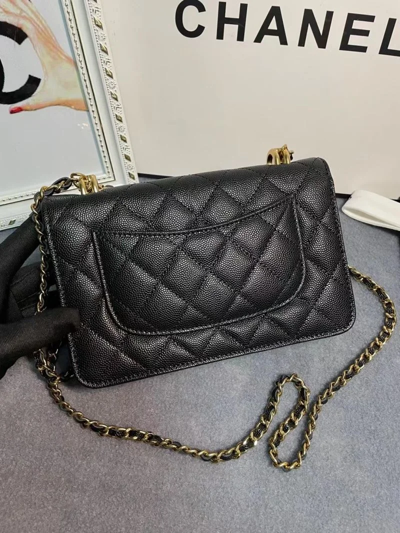 WaterResistant Chanel WOC Bags 54165