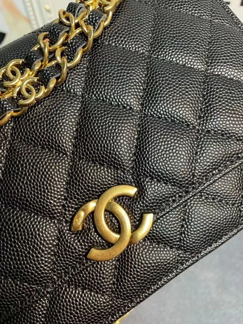 WaterResistant Chanel WOC Bags 54165