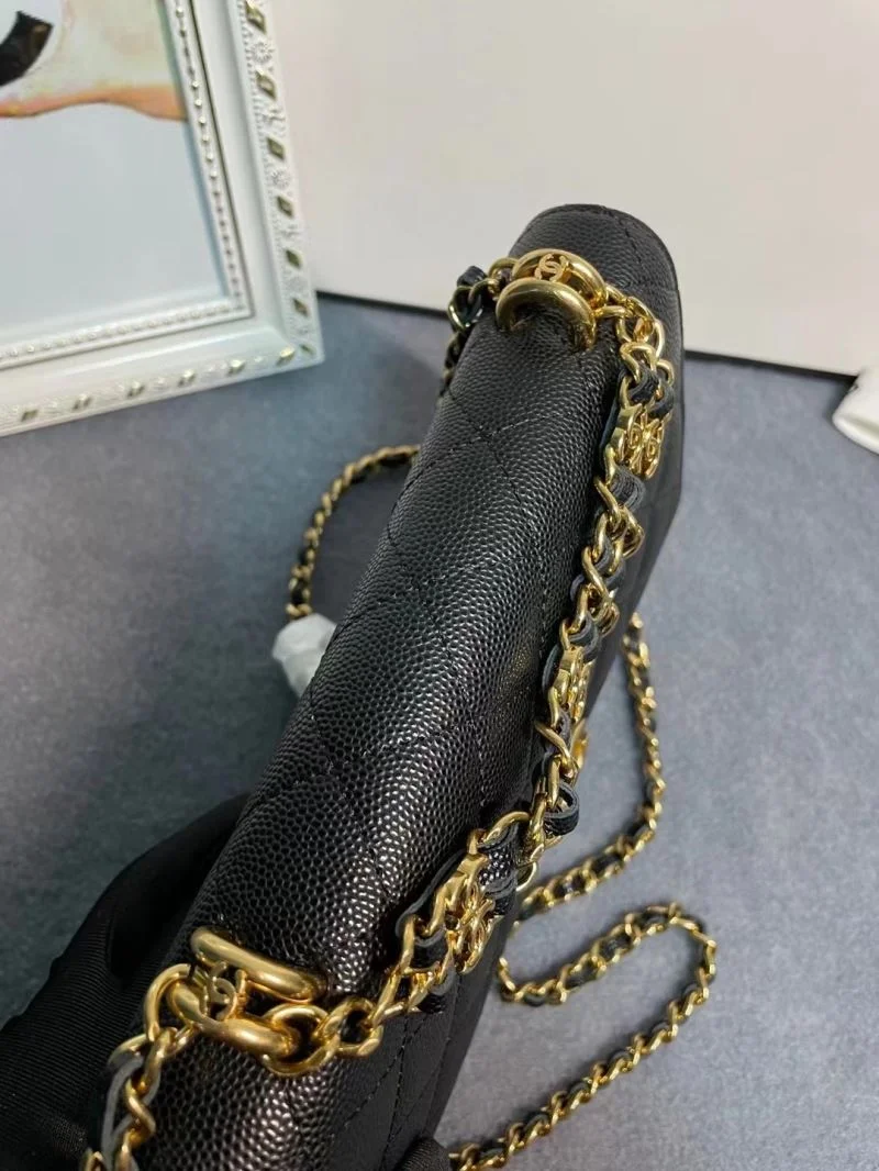 WaterResistant Chanel WOC Bags 54165