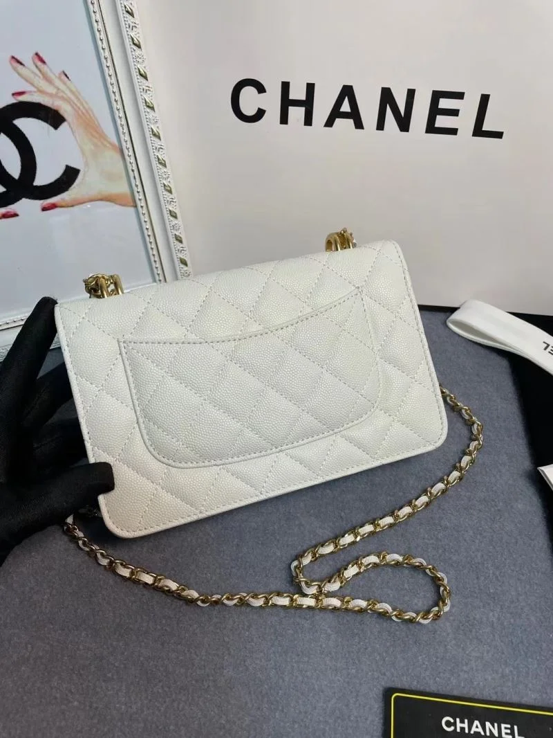 Functional Chanel WOC Bags 54192