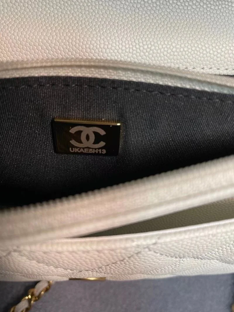 Functional Chanel WOC Bags 54192