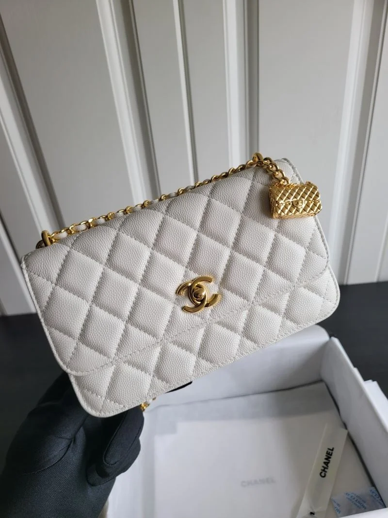 Youthful Chanel WOC Bags 54249