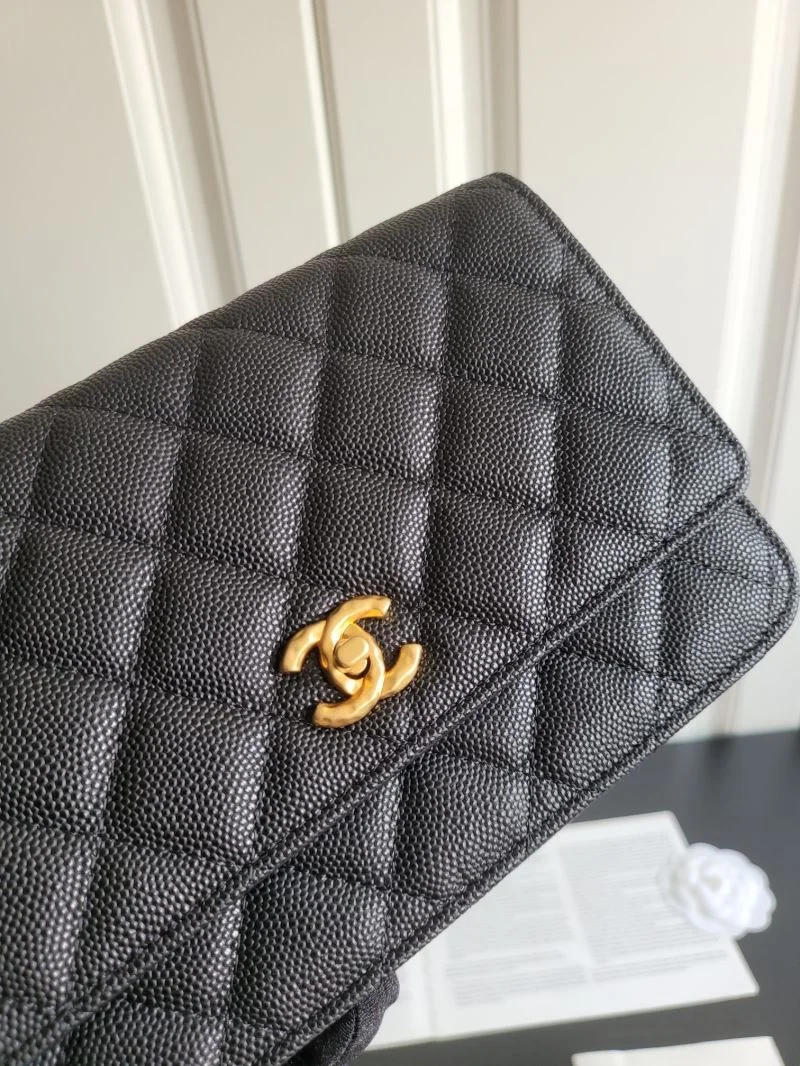 Chanel WOC Bags EasyCare 54146