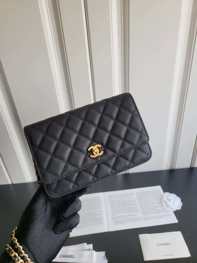 Chanel WOC Bags EasyCare 54146