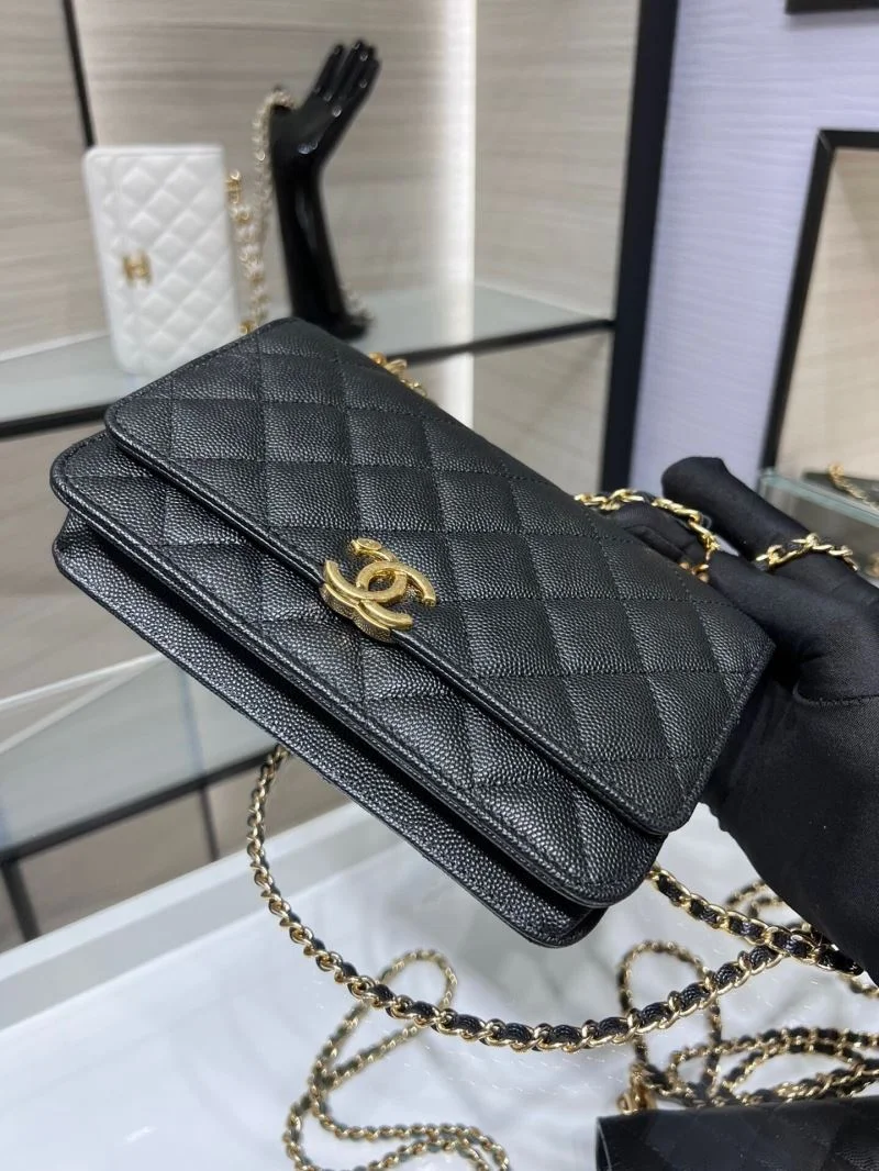 Chanel WOC Bags Flexible 54169