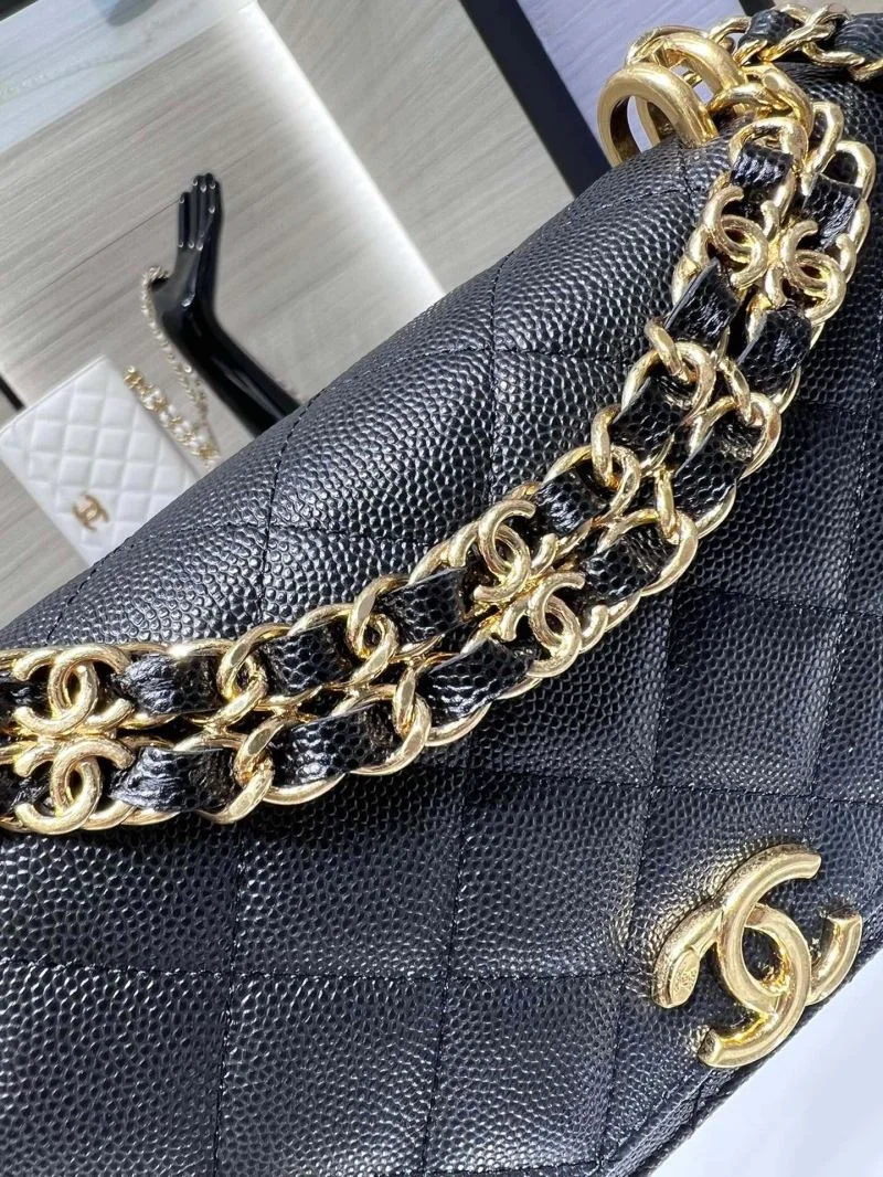 Chanel WOC Bags Flexible 54169