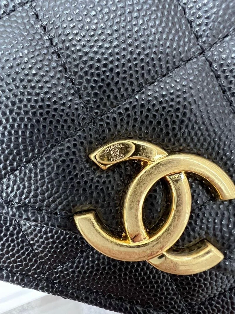 Chanel WOC Bags Flexible 54169