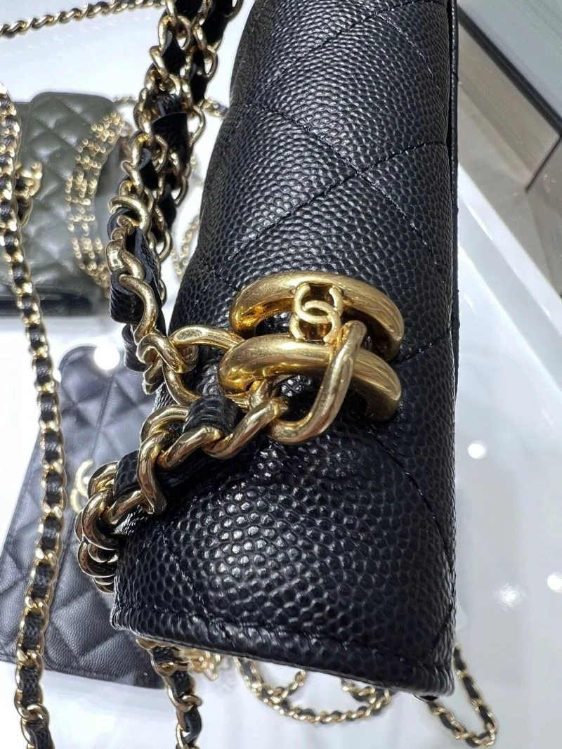 Chanel WOC Bags Flexible 54169