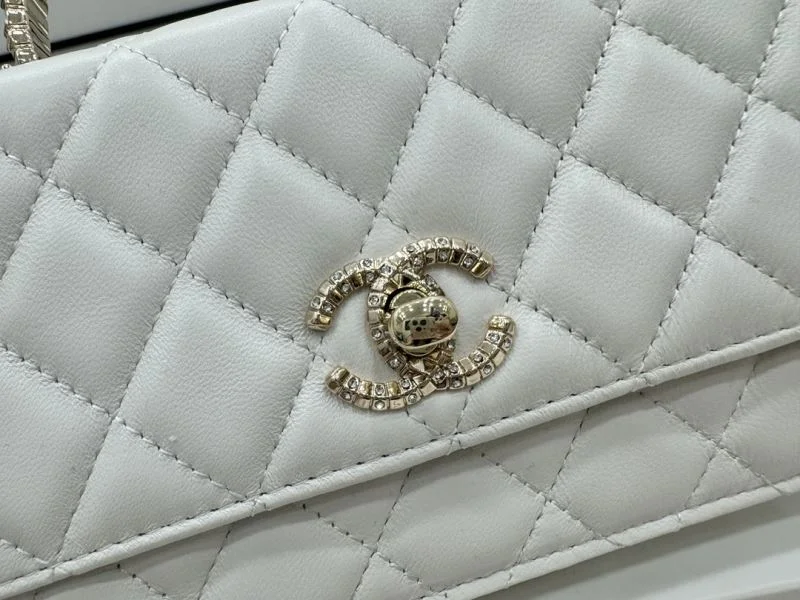 Chanel WOC Bags Soft 54163