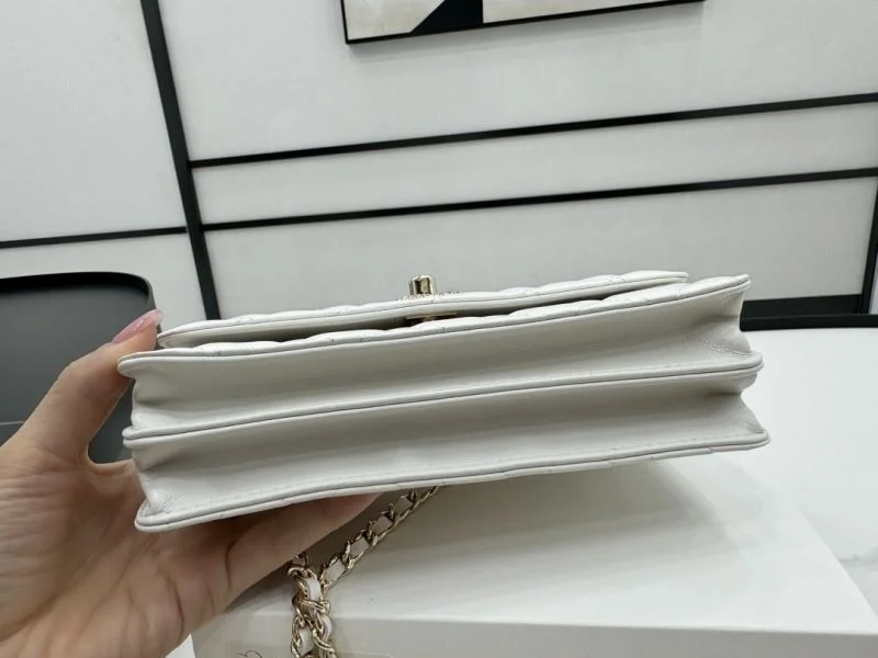 Chanel WOC Bags Soft 54163