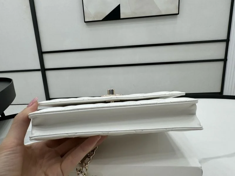 Tailored Chanel WOC Bags 54127