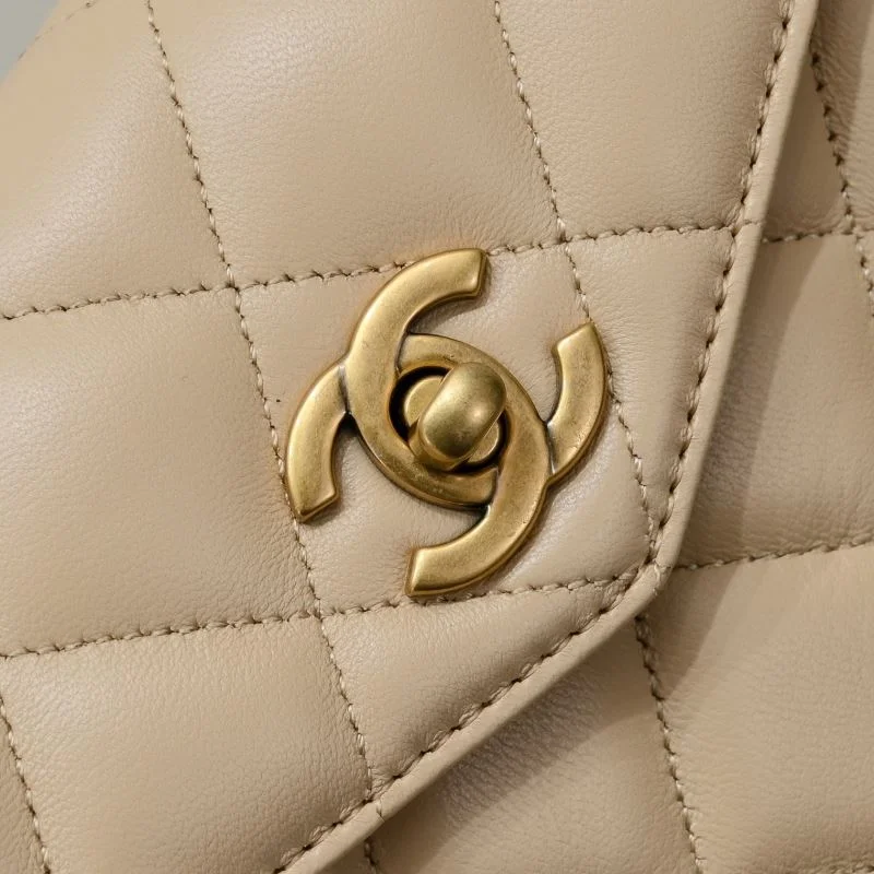 Packable Chanel Waist Chest Packs 54067