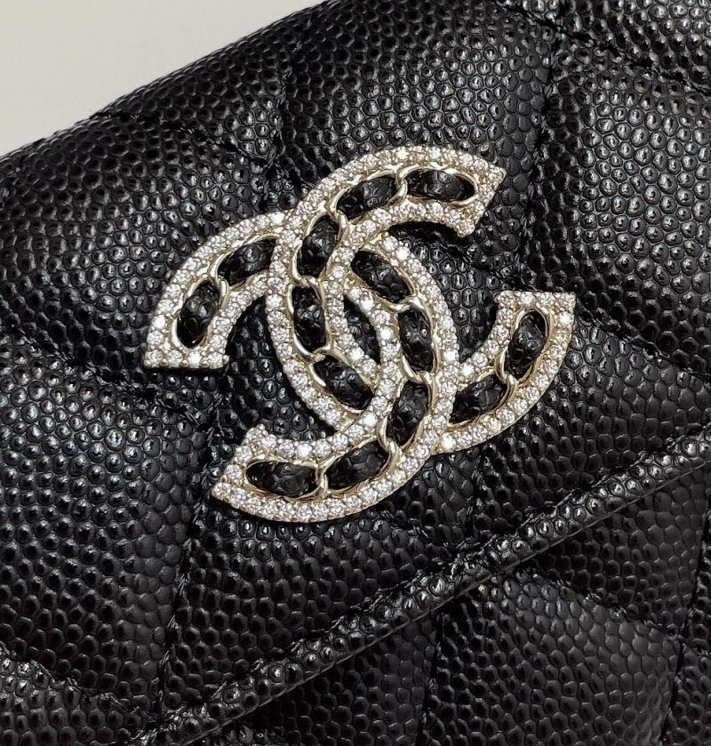 Chanel Wallets Purse OdorResistant 66107