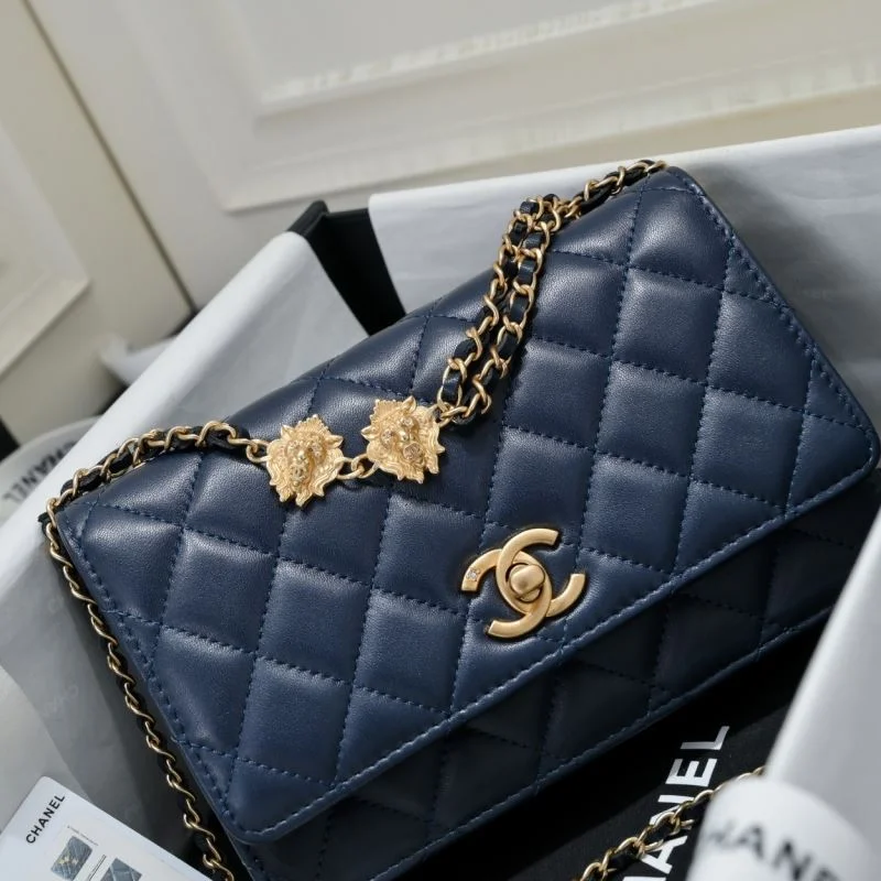 Chanel Woc Bags Versatile 54033