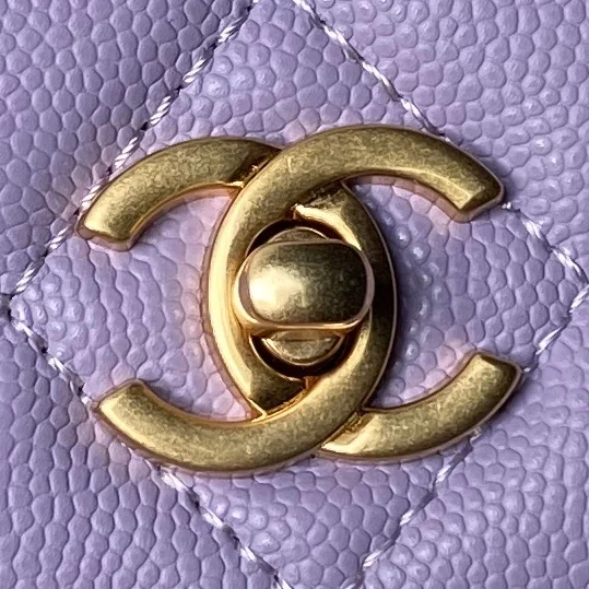 Chanel Woc Bags FastDry 53824