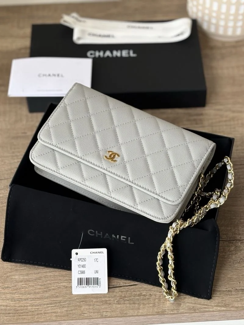 TechFriendly Chanel Woc Bags 52025