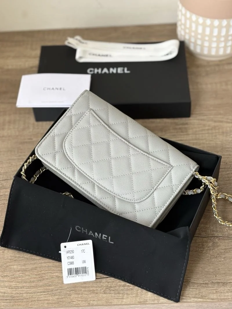 TechFriendly Chanel Woc Bags 52025