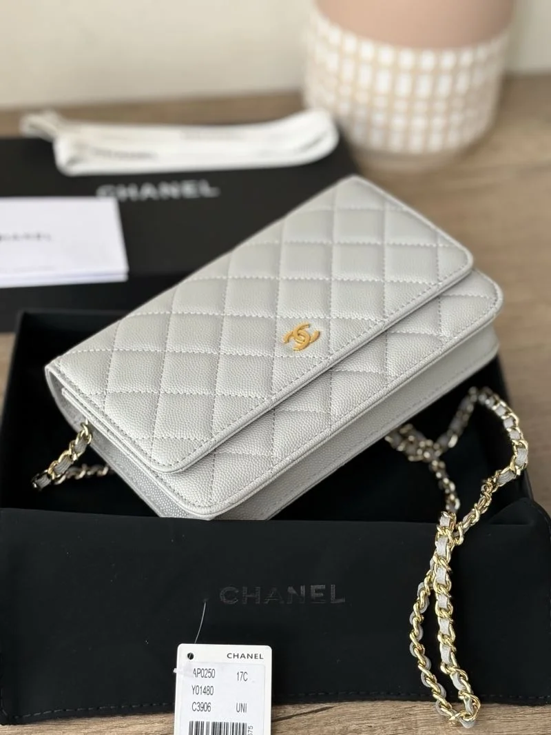 TechFriendly Chanel Woc Bags 52025